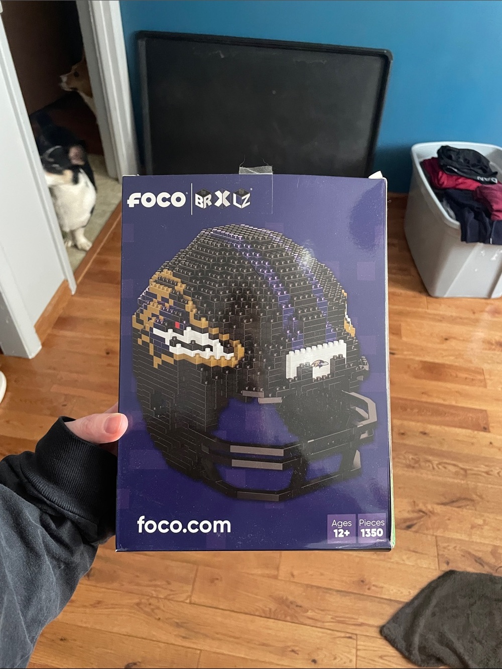 FOCO Baltimore Ravens Helmet Brick Set - Purple and Black Home Art